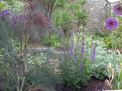 Rob Howard Garden Design - New Garden Design Charlbury pic 4